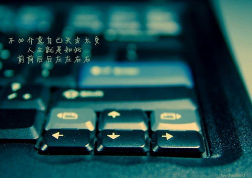 土味情話去哪里