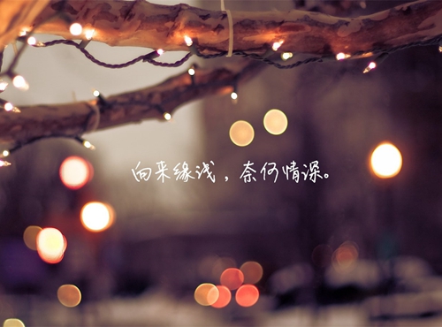 表白劉宇寧的情話