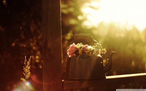 1654075976204745.png image.png