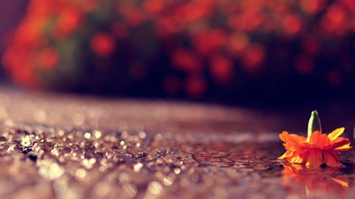 1655440029299156.png image.png