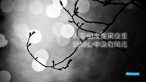 關于哈哈的土味情話