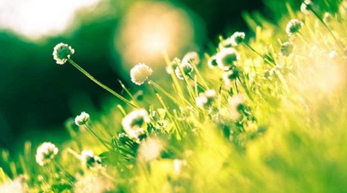 感動(dòng)人的情話虐《分手了傷心讓前任感動(dòng)的話》 