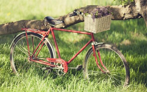 豬寶寶名字帶什么字好（生肖豬孩子鋼字取名吉利嗎）