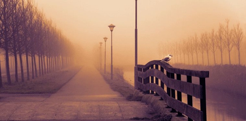 晚安的情話文案短句干凈 晚安的情話文案短句干凈