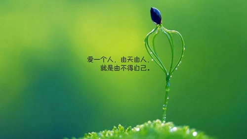 套路老婆的情話問題 套路老婆的情話問題