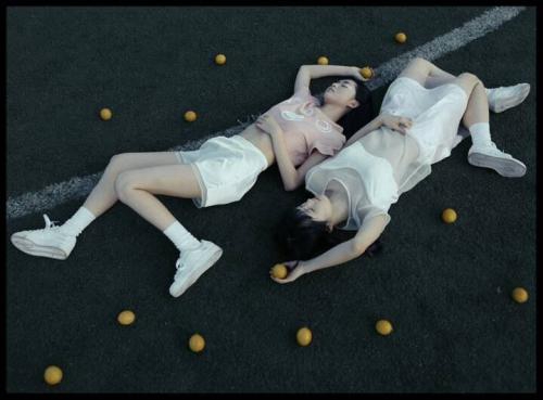 明星的情話撩妹