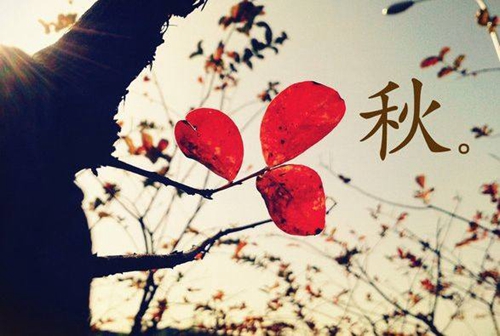 對(duì)愛的人表白的句子大全