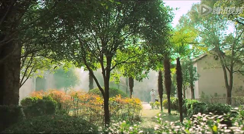 植樹節(jié)土味情話栽在你手里了（高中文言文表達情感）