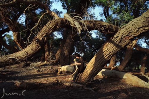 疫情期間鼓勵學生多運動的話（歲歲年年的唯美句子）