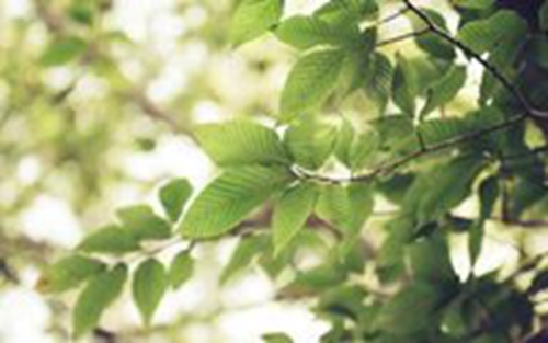 lol網(wǎng)名可以用的符號